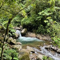 A river in a local farm that we swam in often