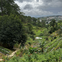 Travels to Da Lat - Vietnam during my internship [Deo May Farm]