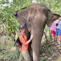 My elephant bestie