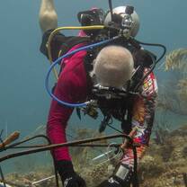 Working on the Reef