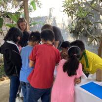 Teaching English