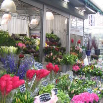 Tulips from Amsterdam. 