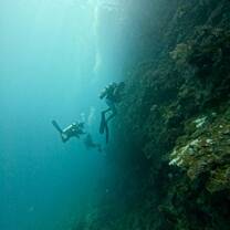 Raja diving 