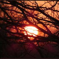 Sunset at nakavango 