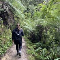 Tasman National Park