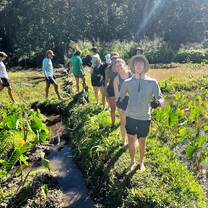 Working on an ancient, 1000+ year old irrigation system for the culturally sacred Kalo plant.