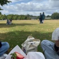 A picnic in hyde park