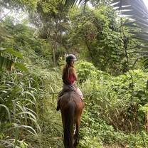Horse riding