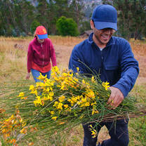Harvesting for Organic Fertiliser