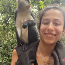 Monkeys