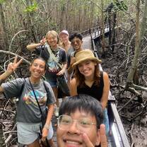 Mangrove forest
