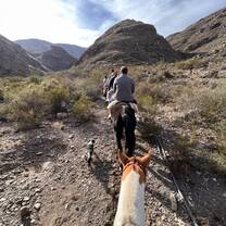 Horseback riding in Mendoza!