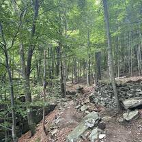 Musrai trail near Alpette