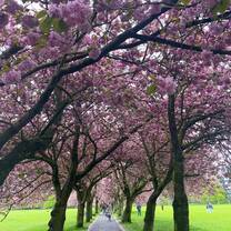 The Meadows