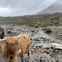 Highlands