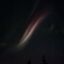 Northern lights. One thing off the bucket list!!