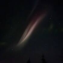 Northern lights. One thing off the bucket list!!