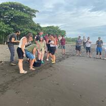 Green baby release