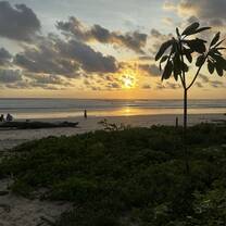 Nosara Sunset