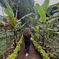 babu coffee plantation!!