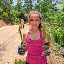 Planting vegetation to prevent landslides