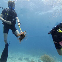 Lionfish containment