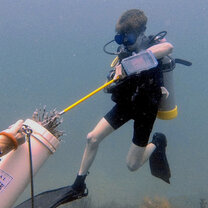 Lionfish containment