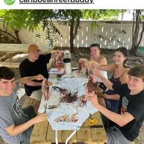 Disecting lionfish
