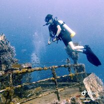 Awesome wreck dives