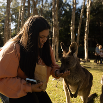 Feeding the kangaroos at the Australia Zoo in Beerwah, QLD