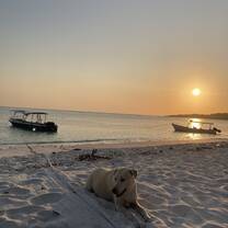 Amazing sunsets