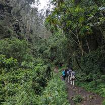 A hike organised by Gotoco in our first week there