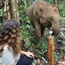 Hiking with Elephants