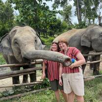 This was at an elephant sanctuary as part of a program field trip! It was truly amazing and a once in a lifetime experience. We were able to feed the elephants, give them a mud bath, and bathe with them!