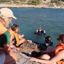 Posidonia oceanica replanting