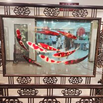 Beuatiful embroidery