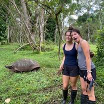 With the tortoises!