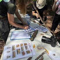 Mushroom inventory