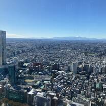 View over Tokyo with Mt. Fuji in the background