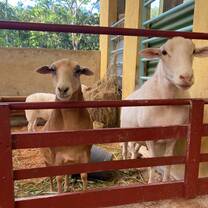 Farm