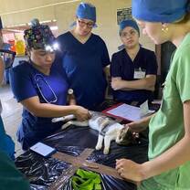 Live Surgery