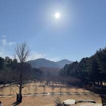 Nami Island 