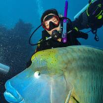 I study marine biology and studying abroad at James Cook University was amazing in helping me complete for research and work with amazing professors in the field. Studying abroad helped me refine how I want to complete research for my future career.