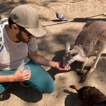 Kangaroos at Currumbin! 