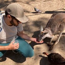 Kangaroos at Currumbin! 