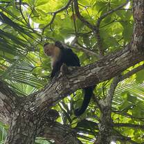 Wildlife