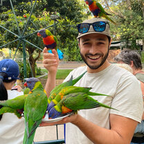 Rainbow Lorikeets!