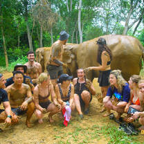 Elephants