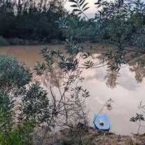 Mudpool