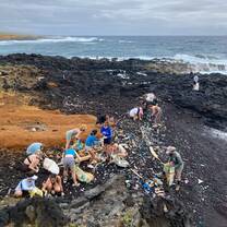 shore cleaning 